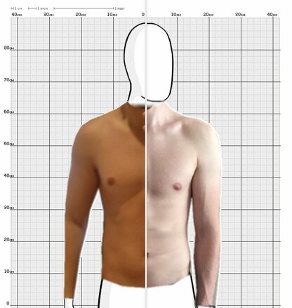 Torso Comparison