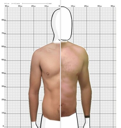 Torso Comparison