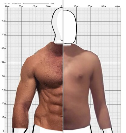 Torso Comparison