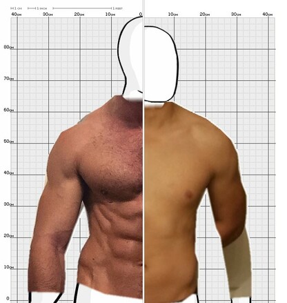 Torso Comparison