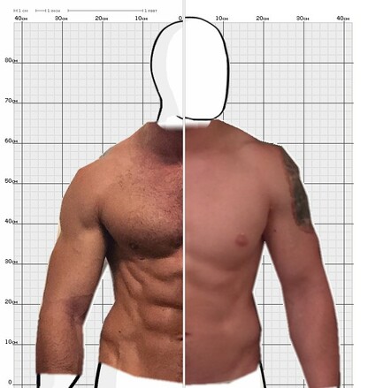 Torso Comparison