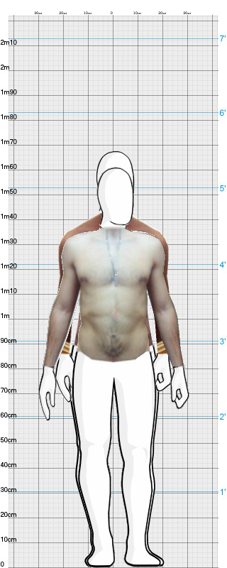 Full Size Comparison