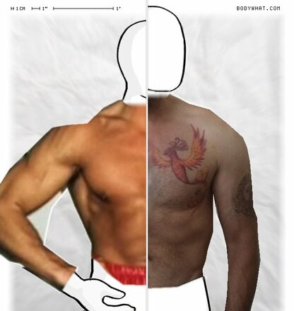 Torso Comparison