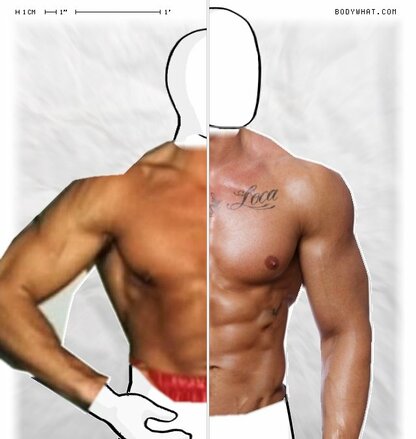 Torso Comparison