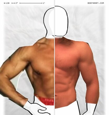 Torso Comparison