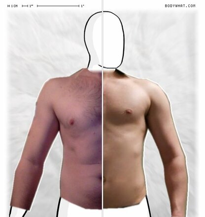 Torso Comparison