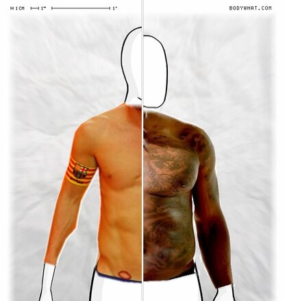 Torso Comparison