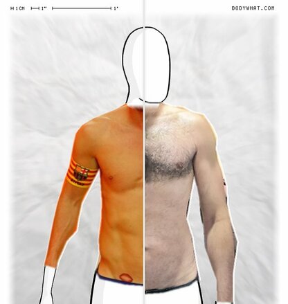 Torso Comparison