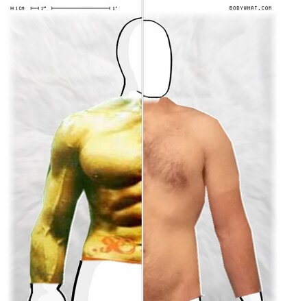 Torso Comparison