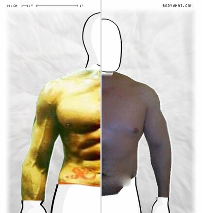 Torso Comparison