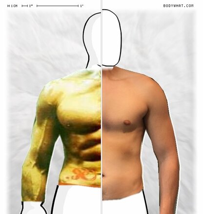 Torso Comparison