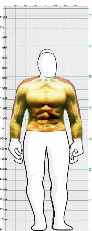 Full Size Comparison