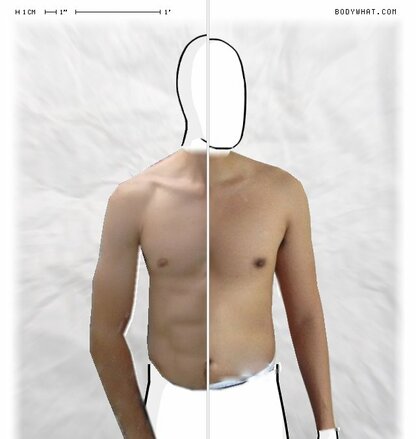 Torso Comparison