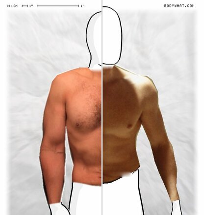 Torso Comparison