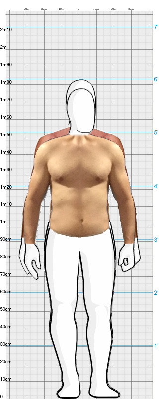 Full Size Comparison