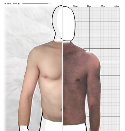 Torso Comparison