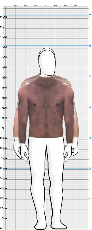 Full Size Comparison