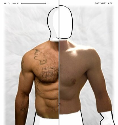 Torso Comparison