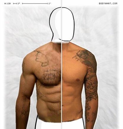 Torso Comparison