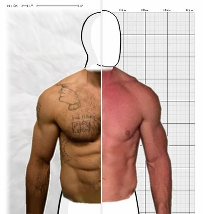 Torso Comparison