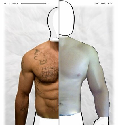 Torso Comparison