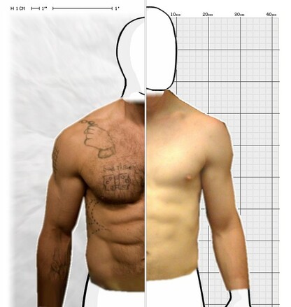 Torso Comparison