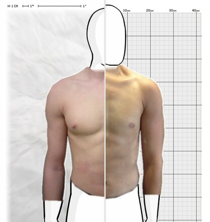 Torso Comparison