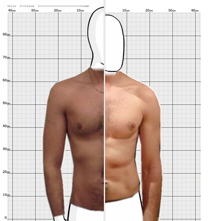 Torso Comparison