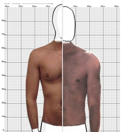 Torso Comparison