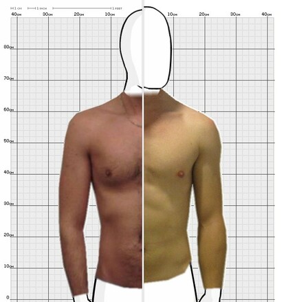 Torso Comparison