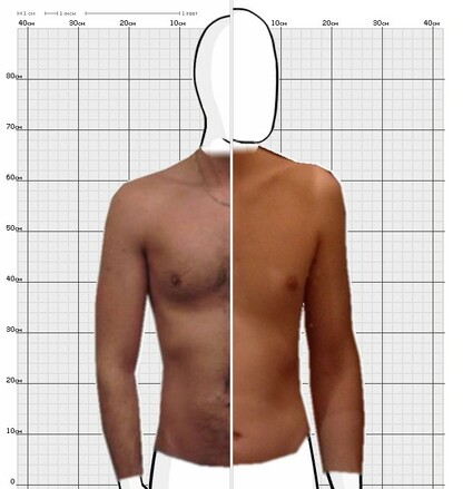 Torso Comparison