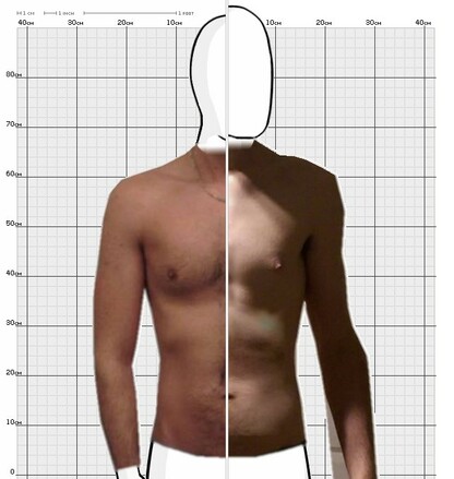 Torso Comparison