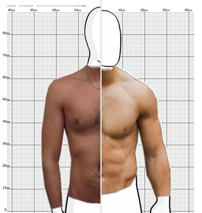 Torso Comparison