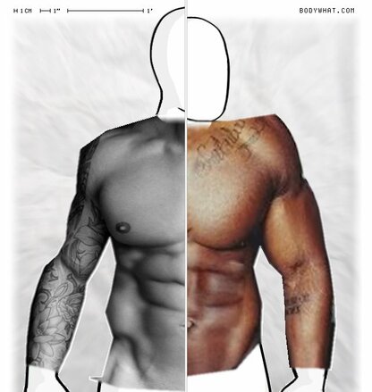 Torso Comparison