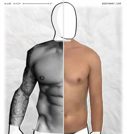 Torso Comparison