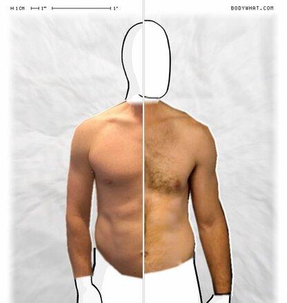 Torso Comparison