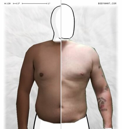 Torso Comparison