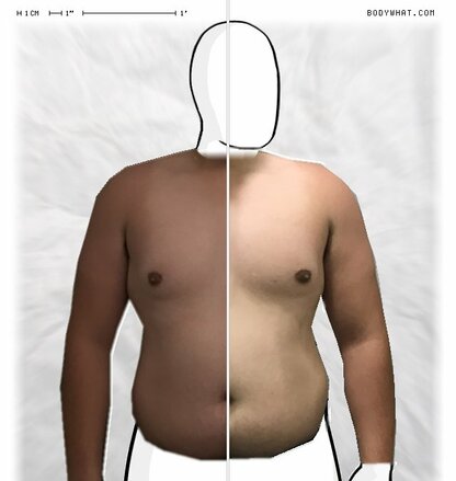 Torso Comparison