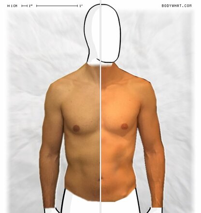 Torso Comparison