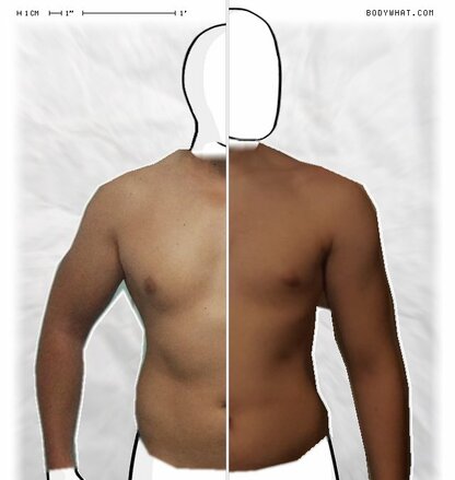 Torso Comparison