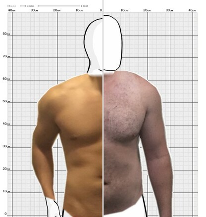 Torso Comparison