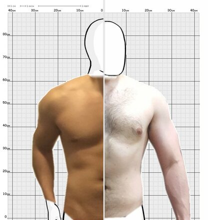 Torso Comparison