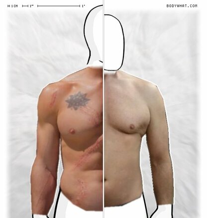 Torso Comparison