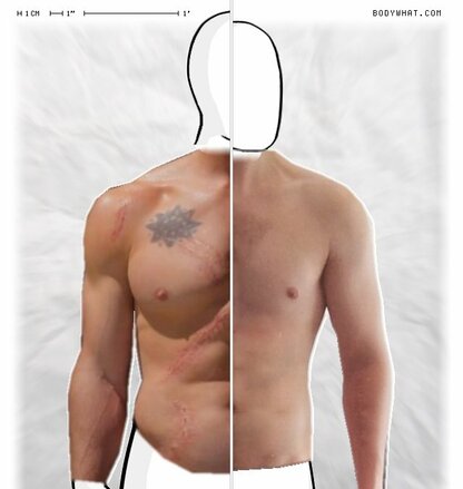 Torso Comparison