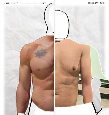 Torso Comparison