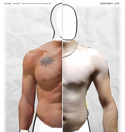 Torso Comparison