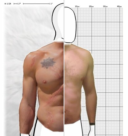 Torso Comparison