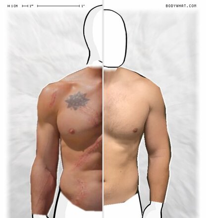 Torso Comparison