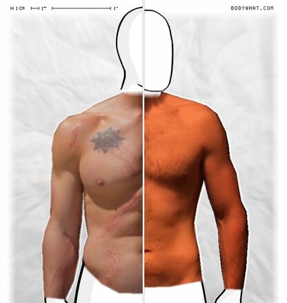 Torso Comparison