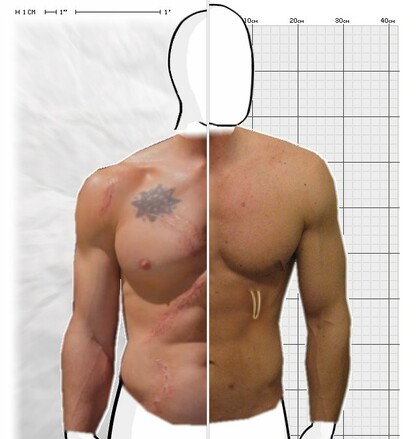 Torso Comparison